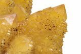 Sunshine Cactus Quartz Crystal Cluster - South Africa #217987-2